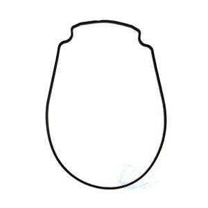 Pentair Whisperflo Intelliflo Housing Gasket Black 357100Z | 357100