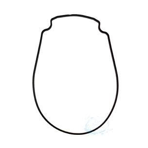 Pentair Whisperflo Intelliflo Housing Gasket | Black | 357100 357100Z