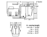 Pentair Whisperflo .75HP Pool Pump | 115V 230V Up Rated | WF-23 01 | 11771