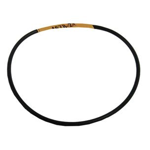 PENTAIR 072554 P62034 2" COVER SEAL 0-320