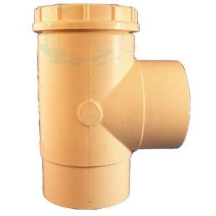 Pentair Ortega Spring Check Valve 90 Degree CPVC 2" | 010652