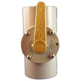 Pentair Ortega 3-Port Valve CPVC 1.5"x2" 0 | 10631