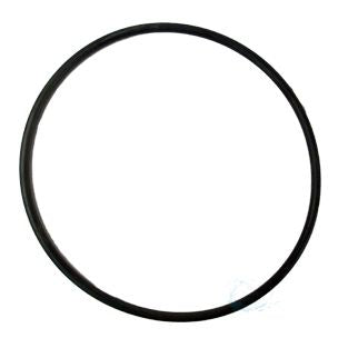 Pentair Rainbow Chlorinator Lid O-Ring | R172240