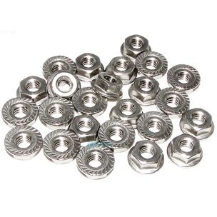Raypak Flange Nut Kit 1/4"-20 | 008259F