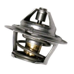 Raypak Unitherm Governor | 600885