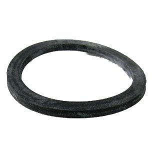 Raypak Versa 055A Unitherm Governor Gasket | 800276