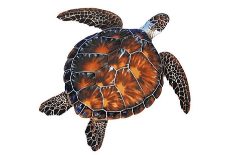 Brown Turtle 10"x10" PORC-BT10-10