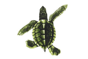 Custom Mosaics Baby Turtle - B 5"x5" | PORC-ST21B