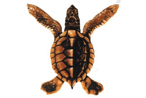 Custom Mosaics Baby Turtle A - BROWN 5"x5" | PORC-ST20A-BR