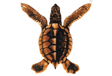 Baby Turtle A - BROWN 5"x5" PORC-ST20A-BR