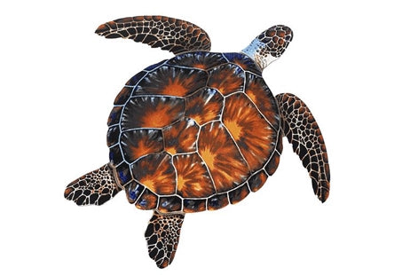 Brown Turtle 18"x18" PORC-BT10-18