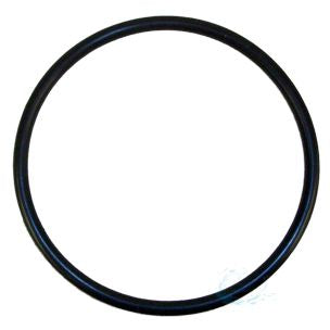 Rainbow Chlorinator Lid O-Ring R172009 | O-283V-9