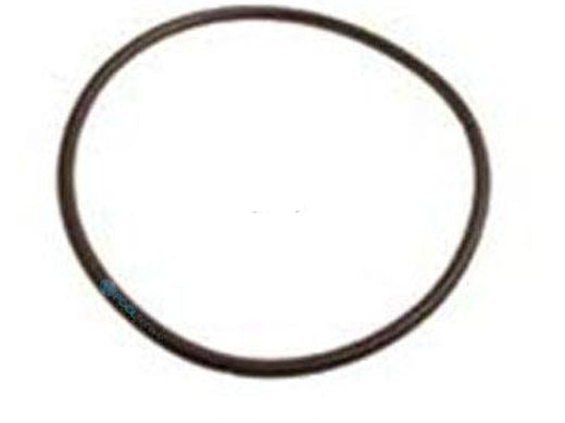 O-461-9 39300600 O-RING LID