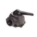 Pentair Sta-Rite Plug and Cover Assembly for 1.5" Multiport | 77704-0104