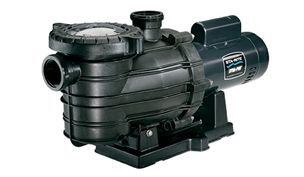 Pentair DYNA-PRO E PUMP .5HP EE FR 115/230V | MPE6C-204L