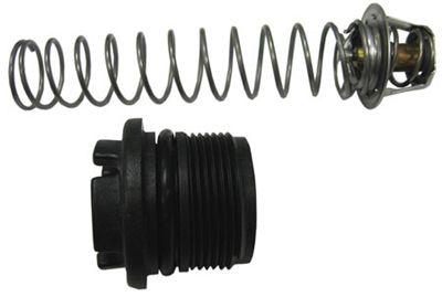 Pentair MasterTemp & Sta-Rite Max-E-Therm Thermal Regulator Kit | 77707-0010