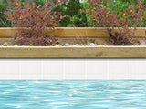 NPT National Pool Tile Unglazed Series Pool Tile White | AOA132X2