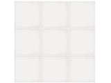 NPT National Pool Tile Unglazed Series Pool Tile White | AOA132X2