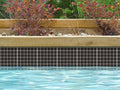 NPT National Pool Tile Unglazed Series Pool Tile | Raven Black 1x1 | AOA | AOA341X1