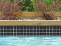 NPT National Pool Tile Unglazed Series Pool Tile Raven Black | AOA342X2