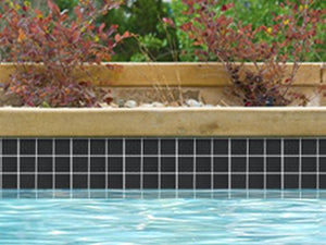 NPT National Pool Tile Unglazed Series Pool Tile Raven Black | AOA342X2