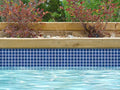 NPT National Pool Tile Unglazed Series Pool Tile | 0AR0811MS1P