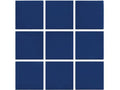 NPT National Pool Tile Unglazed Series Pool Tile | 0AR0822MS1P