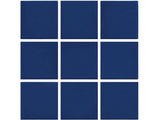 NPT National Pool Tile Unglazed Series Pool Tile | 0AR0822MS1P