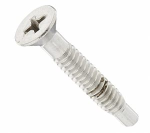 Pentair 619355Z stainless steel pilot screw with captive gum washer for pool lights
