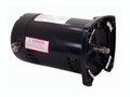 Century Q3152 square flange 1.5 HP three phase 230/460V pool pump motor