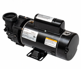 Balboa 4239113-S Dura-Jet spa pump, side view showing the volute
