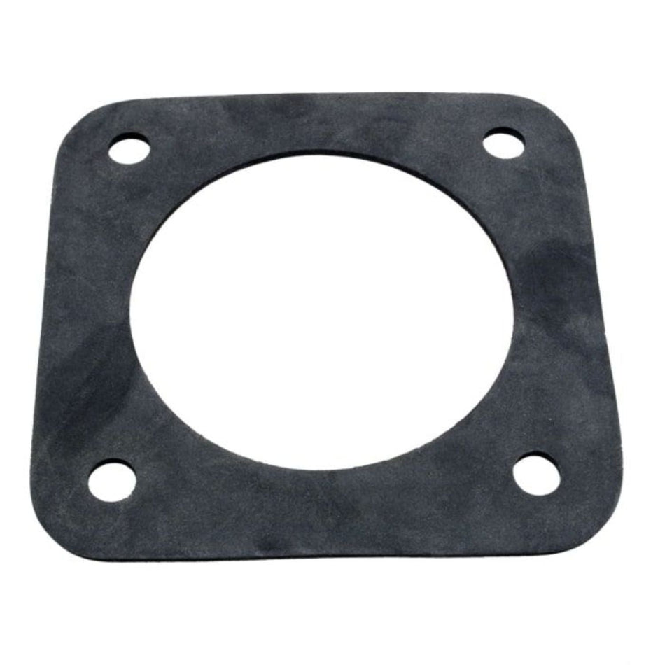 Pentair dura glass rubber gasket - c20-123