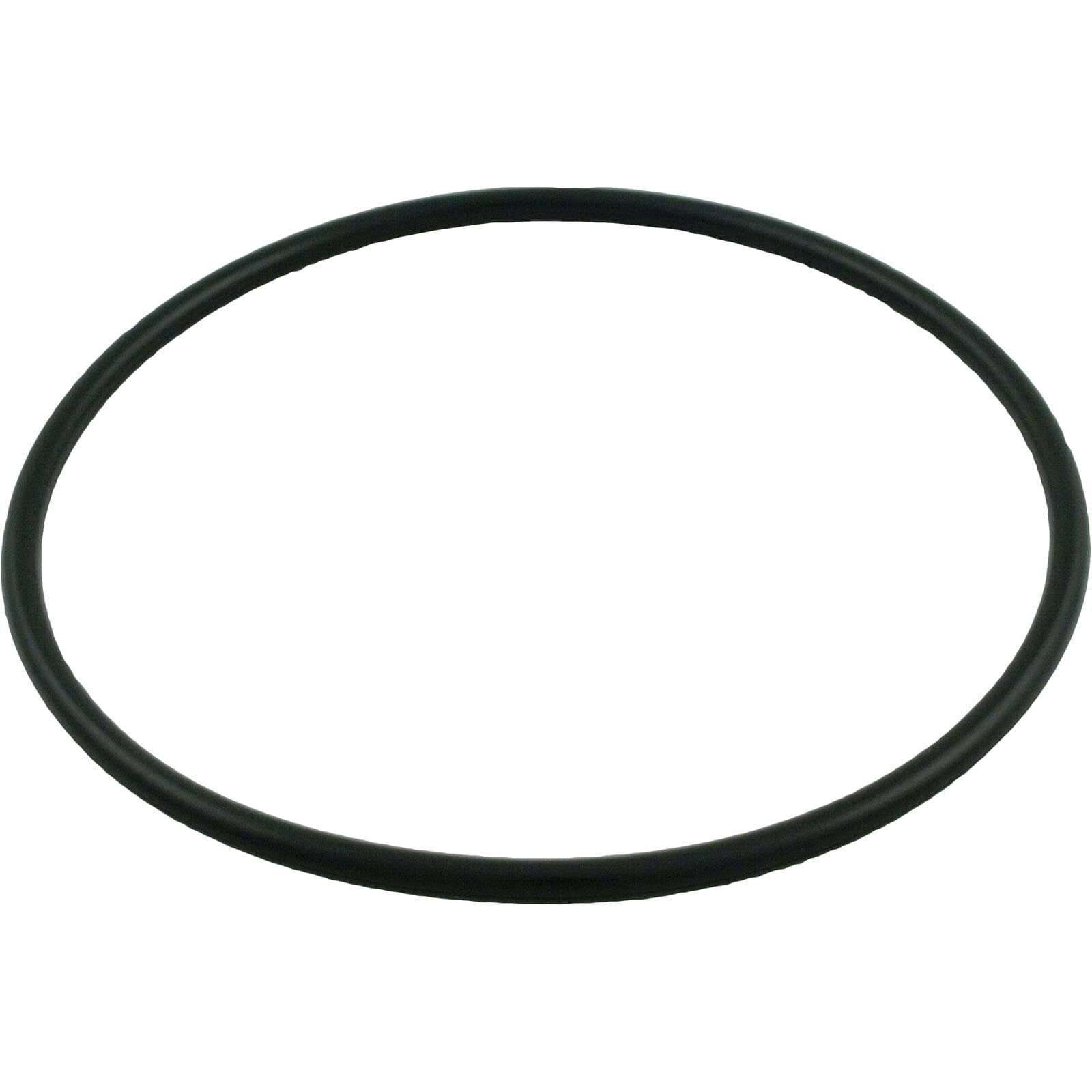 SuperPro O-231V-9 lid o-ring listed for CLX200K