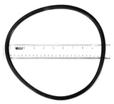 Hayward CX800F filter head o-ring, product view