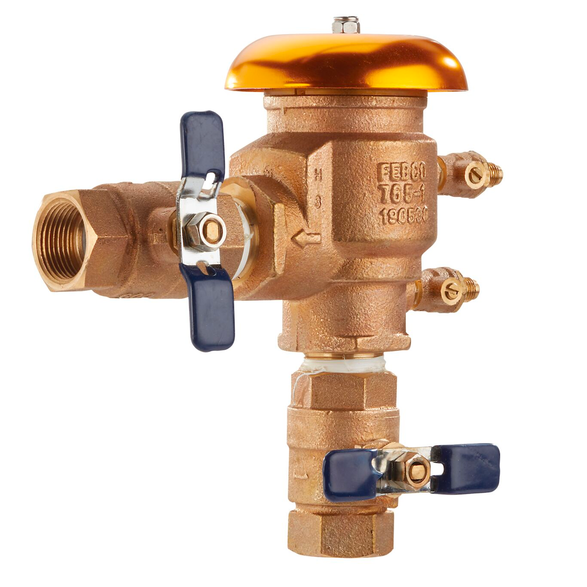 Febco 1" 765 Pressure Vacuum Breaker Backflow Preventer, Quarter Turn, Freeze Sensor