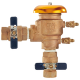 Febco 1" 765 Pressure Vacuum Breaker Backflow Preventer, Quarter Turn, Freeze Sensor