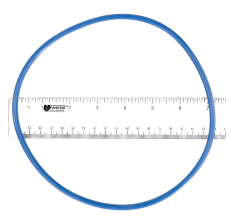 Hayward GMX600F o-ring, 6-3/4 in. ID, packaged