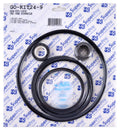 Aladdin PacFab Pinnicle Pump Kit GO-KIT24-9T | GO-KIT24-9