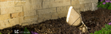 FX Luminaire LC-9LED-BZ, LC LED Wall Wash, Bronze Aluminum Housing 11.2W 2700K 94 Degree