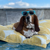 Ledge Lounger Laze Pillow in Sunny Side Up, angled view