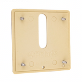 Polaris MJ6330 beige MiniJet cover plate, second view showing the mounting screws