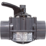 Hayward PSV2S2DGR 2-way diverter valve, alternate view