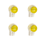 Pentair 520736 IntelliChlor flow switch kit, contents view