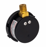 Pentair 98209800 air relief valve kit with gauge, detail