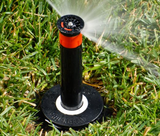 Hunter PROS-06-SI, 6" Pro-Spray Head With Side Inlet