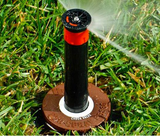 Hunter 6" Pro-Spray Sprinkler Body PROS-06