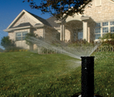 Rain Bird 1804PRS - 4 in. 1800 Series PRS Spray Head - No Nozzle