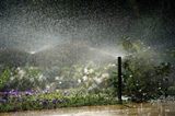 Rain Bird 1812 - 12 in. 1800 Series Spray Head - No Nozzle