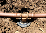 Rain Bird 1800-RETRO, Drip Irrigation Retrofit Kit for 1800 Series Spray Bodies