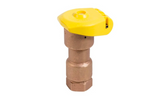Rain Bird 5LRC 1" Quick Coupling Brass Valve with Locking Rubber Cover